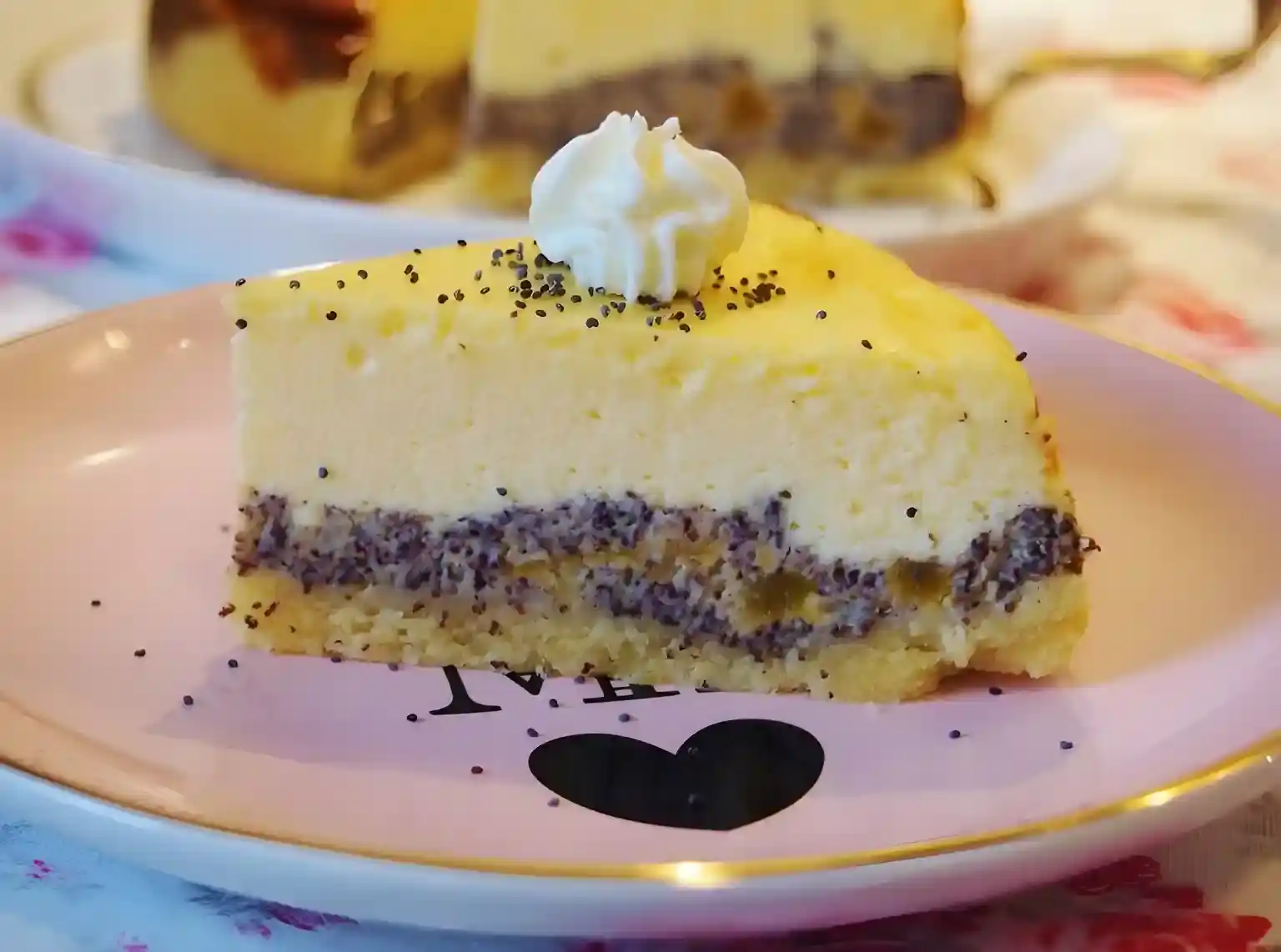 Käsekuchen mit Aprikosen Mohn Creme