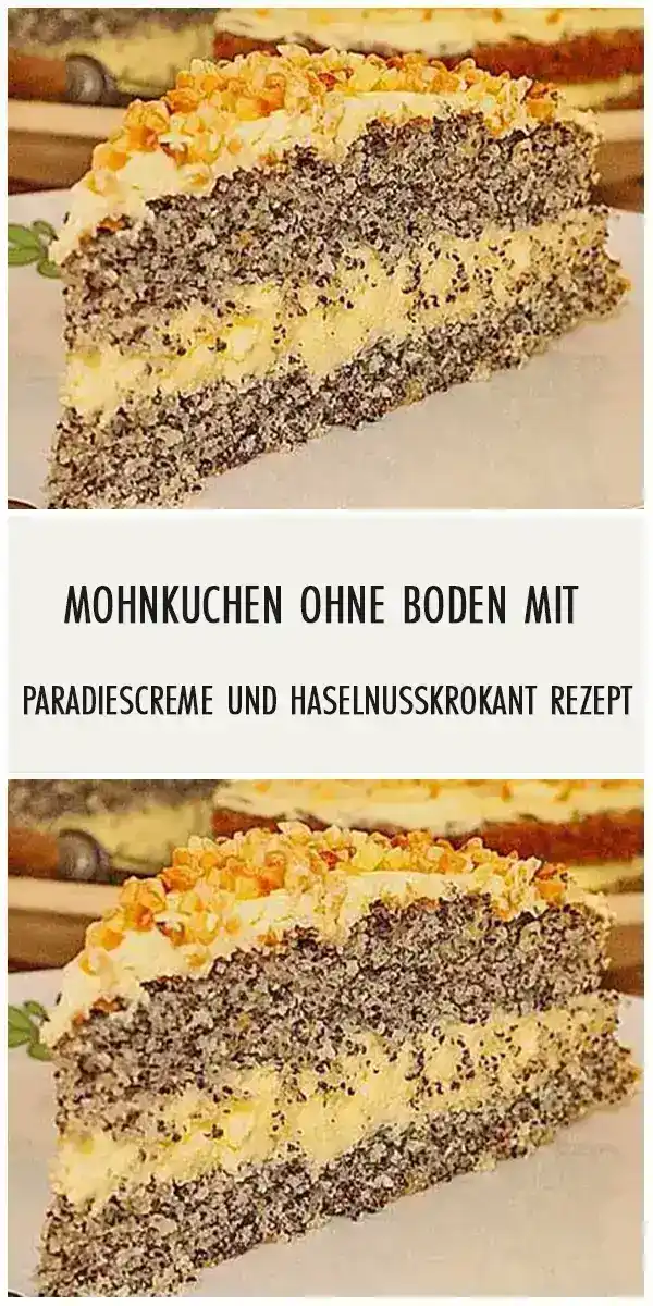 Mohnkuchen ohne Boden mit Paradiescreme und Haselnusskrokant Rezept 1 Mohnkuchen ohne Boden mit Paradiescreme und Haselnusskrokant Rezept