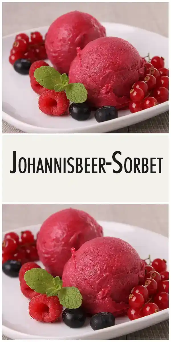 Johannisbeer-Sorbet 1 Johannisbeer-Sorbet