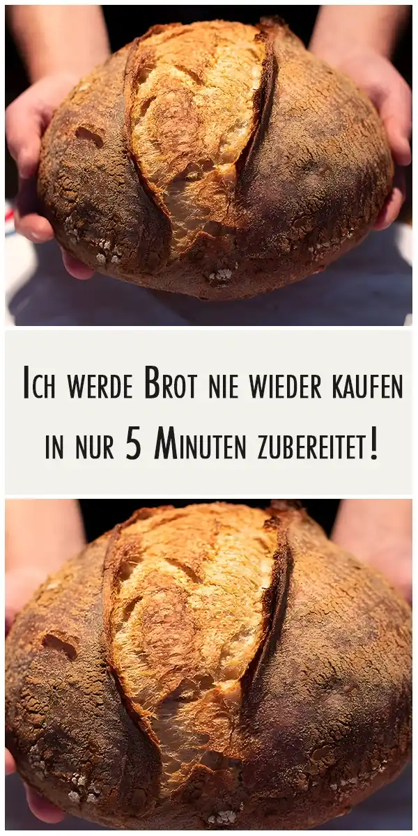 Ich werde Brot nie wieder kaufen, in nur 5 Minuten zubereitet! 1 Ich werde Brot nie wieder kaufen in nur 5 Minuten zubereitet