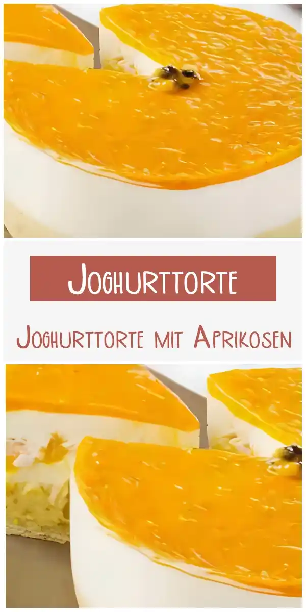 Joghurttorte mit Aprikosen 1 Joghurttorte mit Aprikosen