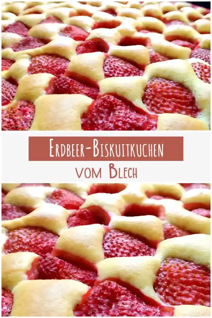 Der beste Erdbeer-Biskuitkuchen vom Blech 1 Der beste Erdbeer Biskuitkuchen vom Blech
