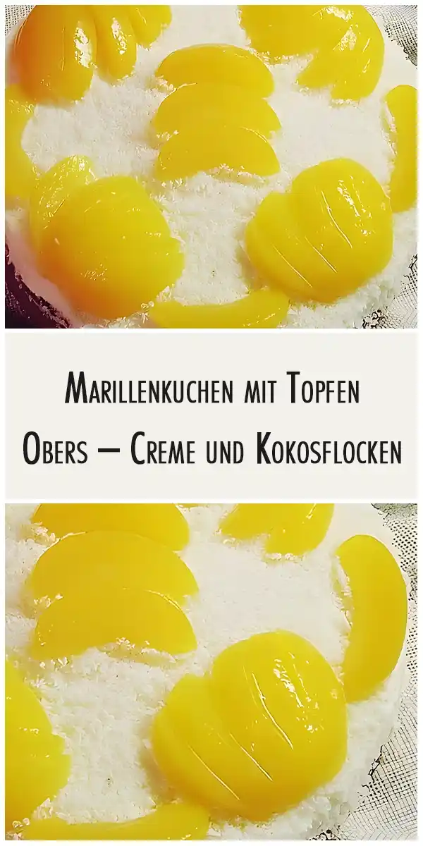 Aprikosenkuchen mit Quark – Sahne – Creme und Kokosflocken 1 Aprikosenkuchen mit Quark – Sahne – Creme und Kokosflocken