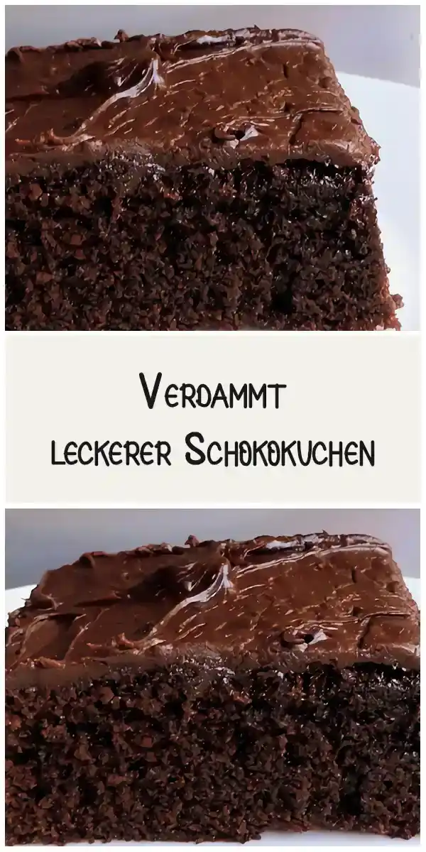 Verdammt leckerer Schokokuchen