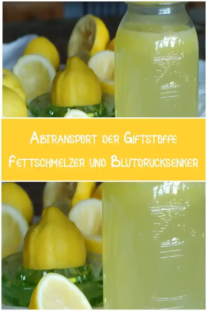 Abtransport der Giftstoffe, Fettschmelzer und Blutdrucksenker 1 Abtransport der Giftstoffe Fettschmelzer und Blutdrucksenker