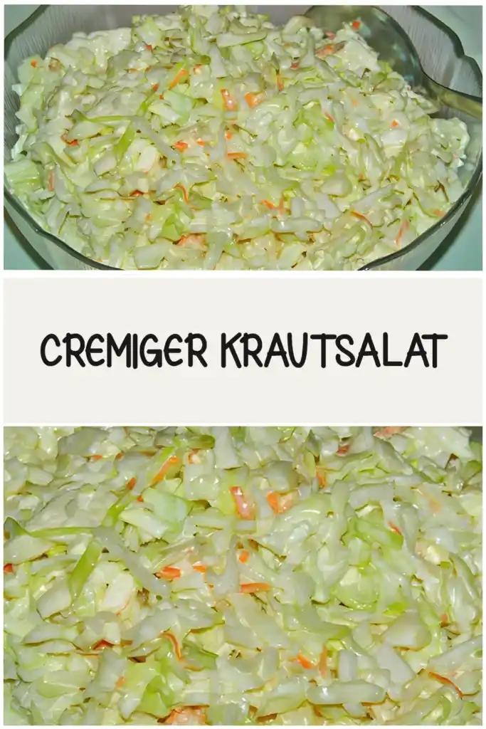 CREMIGER KRAUTSALAT 1 CREMIGER KRAUTSALAT