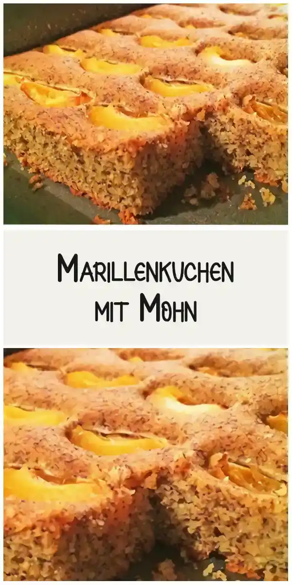 Marillenkuchen mit Mohn 1 Marillenkuchen mit Mohn