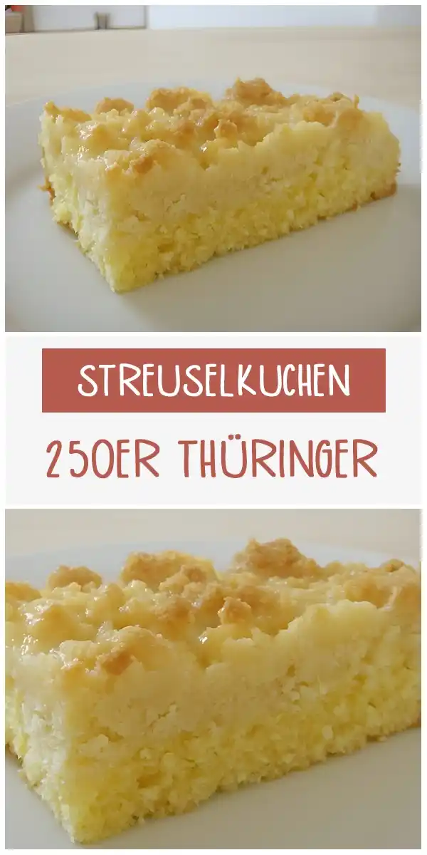 250ER THÜRINGER STREUSELKUCHEN 1 250ER THÜRINGER STREUSELKUCHEN