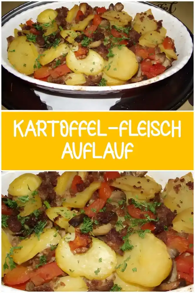 KARTOFFEL-FLEISCH-AUFLAUF