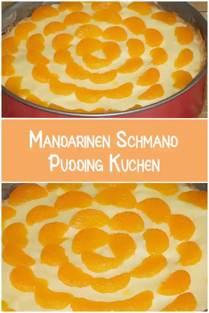 Mandarinen-Schmand-Pudding-Kuchen 1 Mandarinen Schmand Pudding Kuchen
