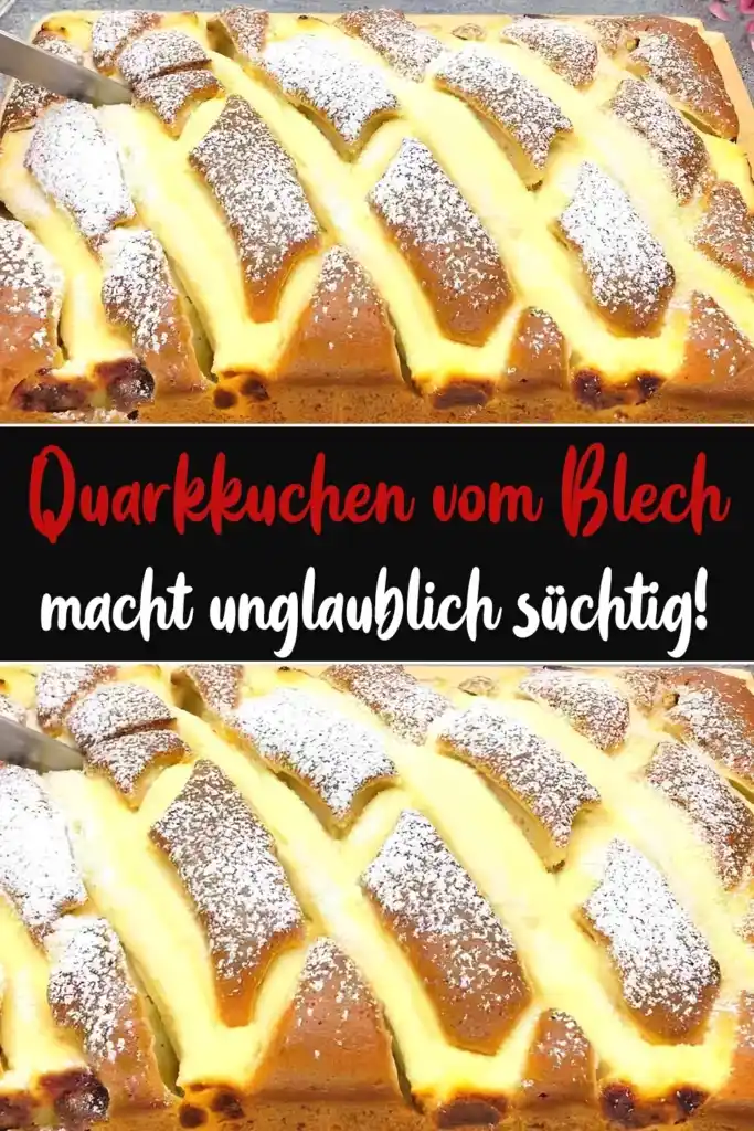 Quarkkuchen vom Blech, macht unglaublich süchtig! 1 Quarkkuchen vom Blech macht unglaublich suechtig