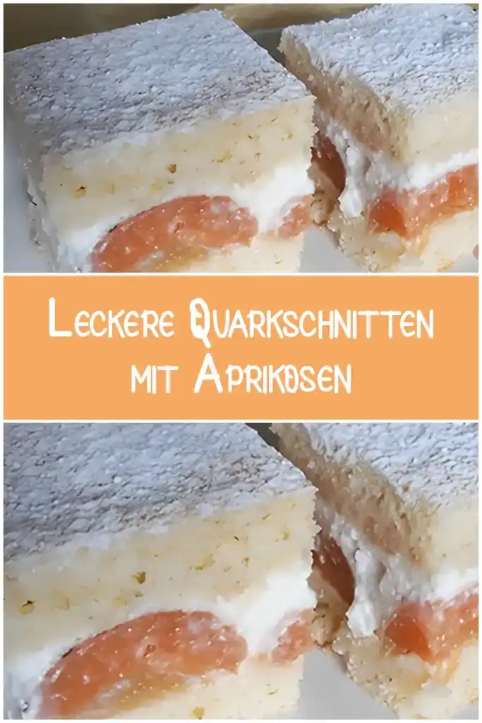 Leckere Quarkschnitten mit Aprikosen 1 Leckere Quarkschnitten mit Aprikosen
