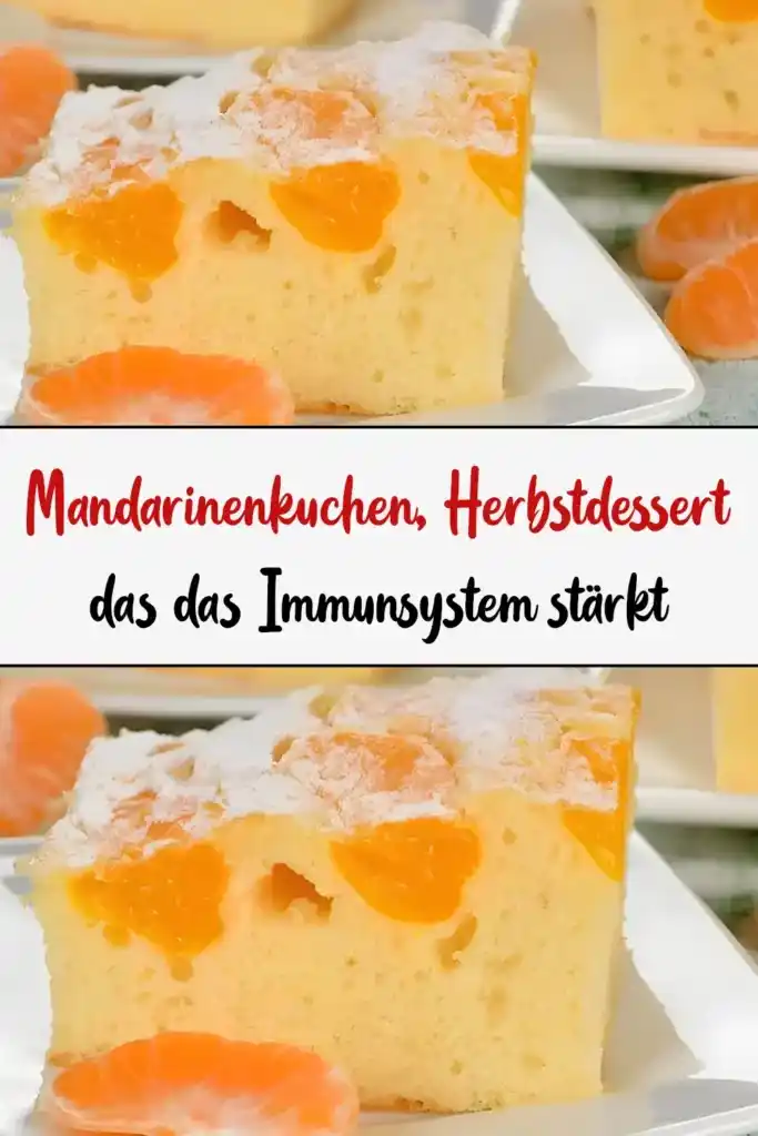 Mandarinenkuchen, ein Herbstgenuss für gestärkte Abwehrkräfte 1 Mandarinenkuchen Herbstdessert das das Immunsystem staerkt1