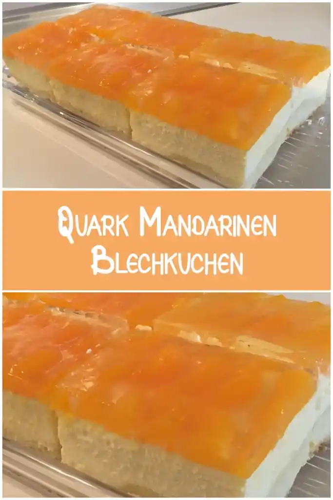Quark-Mandarinen-Blechkuchen 1 Quark-Mandarinen-Blechkuchen