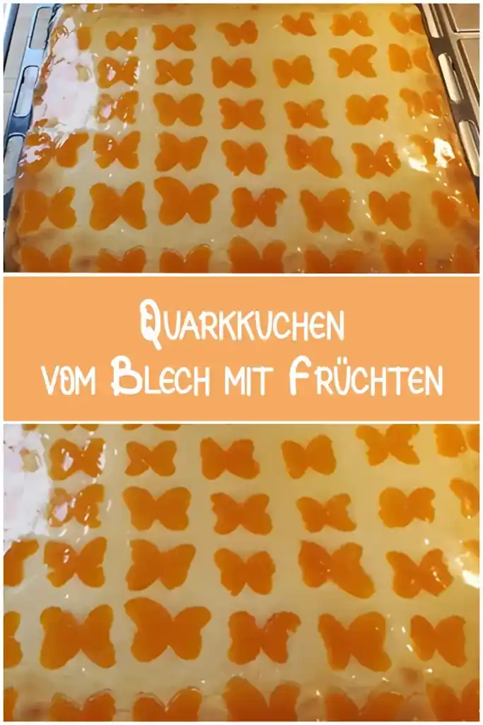Quarkkuchen vom Blech mit Früchten 1 Quarkkuchen vom Blech mit Fruechten