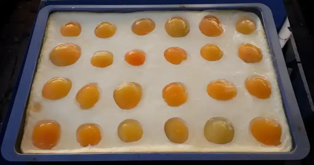 Spiegeleikuchen – toller Osterkuchen waifu2x 2x jpg