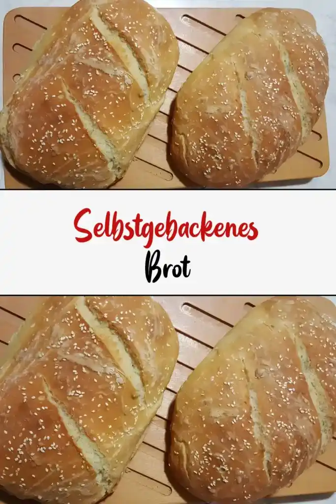 Selbstgebackenes Brot 1 Rezept fuer selbstgebackenes Brot1
