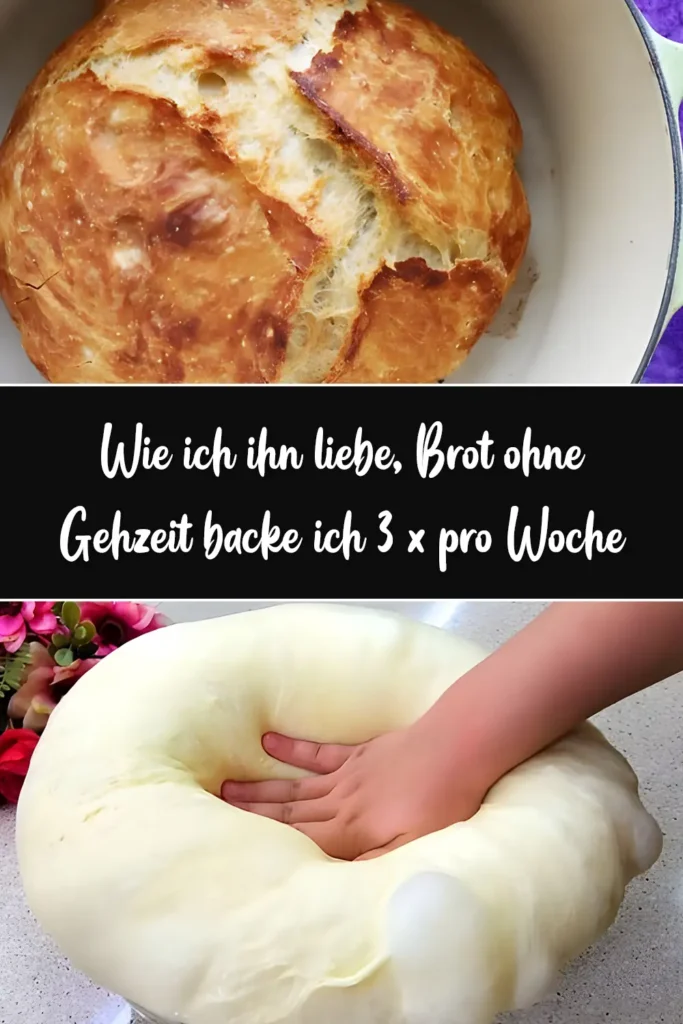 Wie ich ihn liebe Brot ohne Gehzeit backe ich 3 x pro Woche
